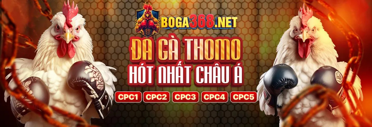 Đá gà trực tuyến 36win hiện đang mở